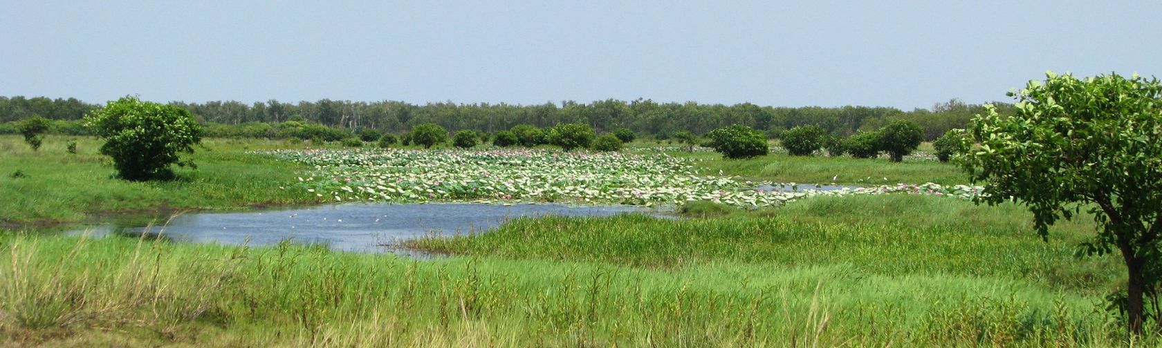 Views over the floodplains