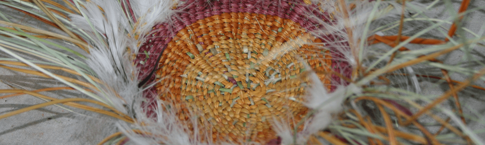 Weaving with feathers