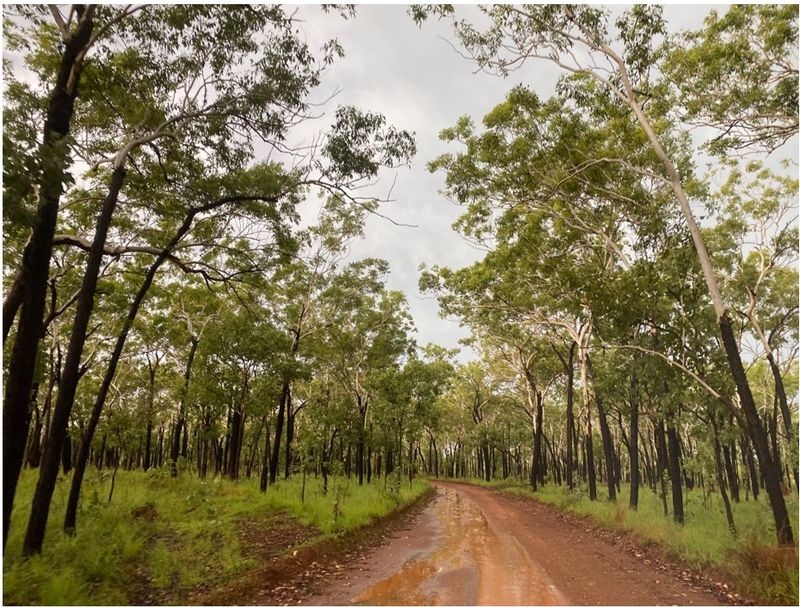 Gimbat Road.