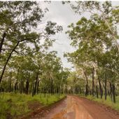 Gimbat Road