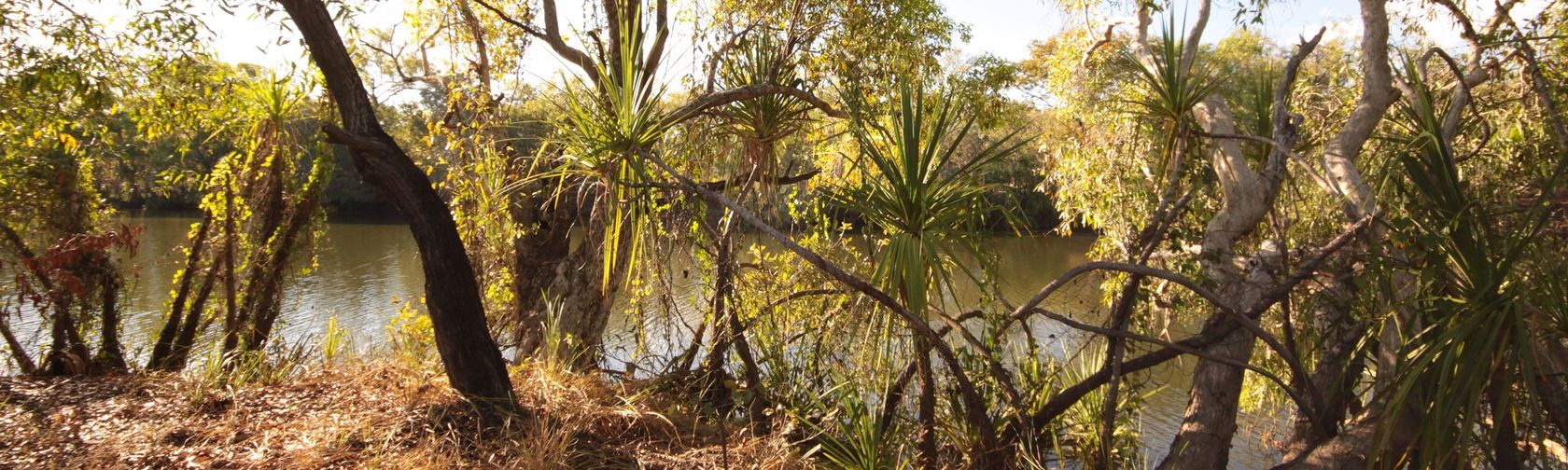 Bucket Billabong (Ngarrababa)