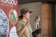 A Ranger in a wide-brimmed hat, wearing a leather glove with an owl standing on it