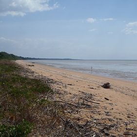 Pokoks Beach