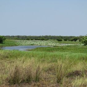 Views over the floodplains