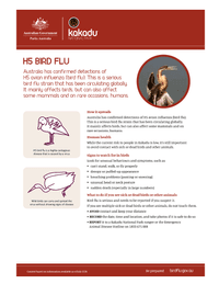 H5 bird flu fact sheet