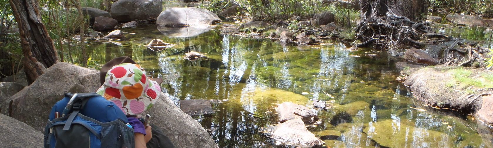 Motor Car Creek. Credit: Tracey Diddams