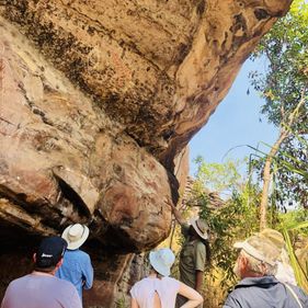 Down Under Safaris