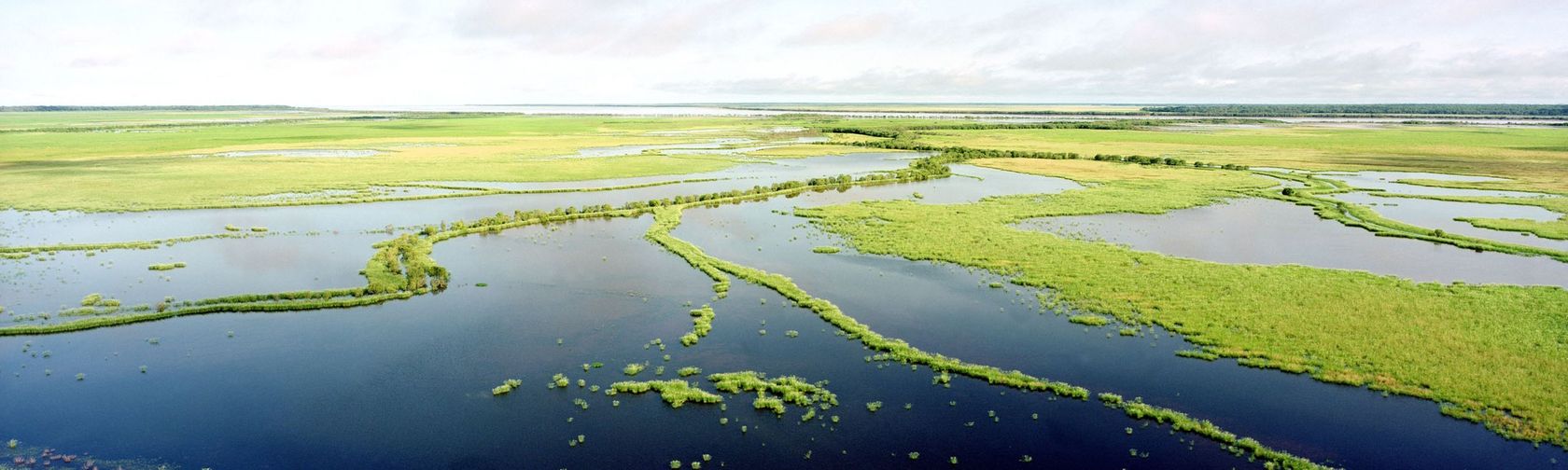 Kakadu floodplains. Photo: Ian Oswald-Jacobs