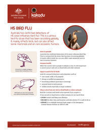 H5 bird flu factsheet