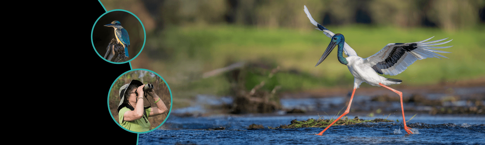Kakadu Bird Week 2025