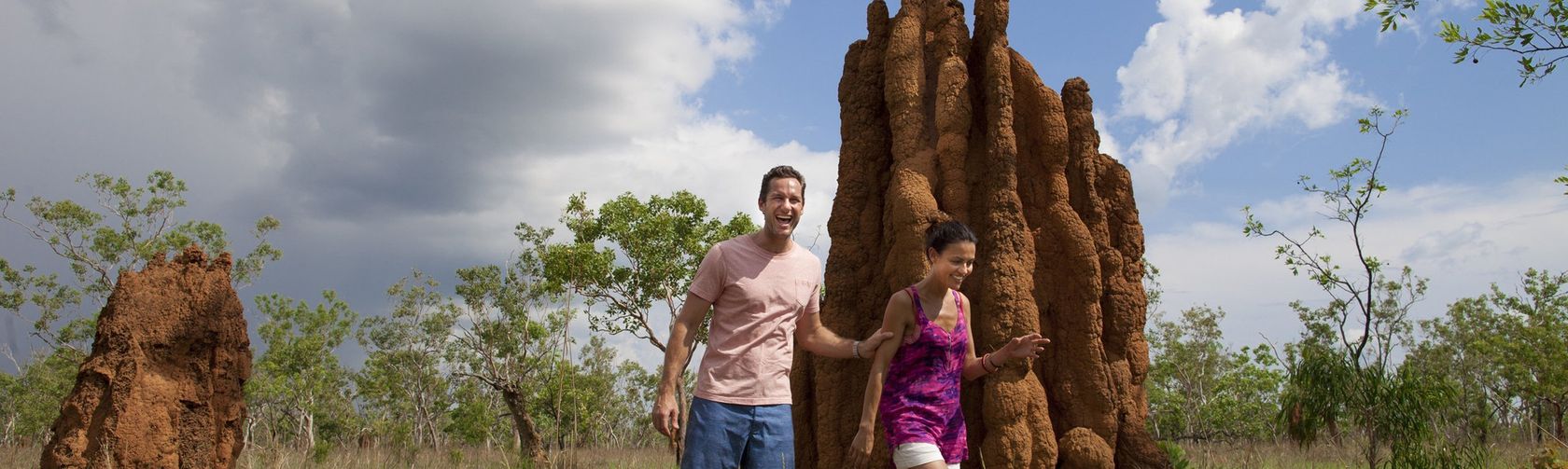 Termite mounds. Photo: Peter Eve| Tourism NT