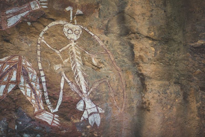 Rock art at Burrungkuy (Nourlangie) depicting Namarrgon. There is a band running between his ankles| hands and head and axes on his head| elbows and feet.