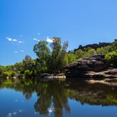 East Alligator River