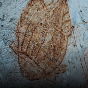 Ubirr rock art showing a fish