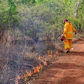 Cultural burning