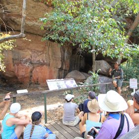 A ranger giving a tour of rock art