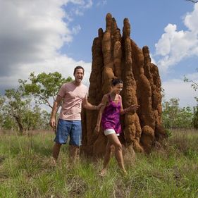 Termite mounds. Photo: Peter Eve| Tourism NT