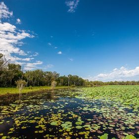 South Alligator region