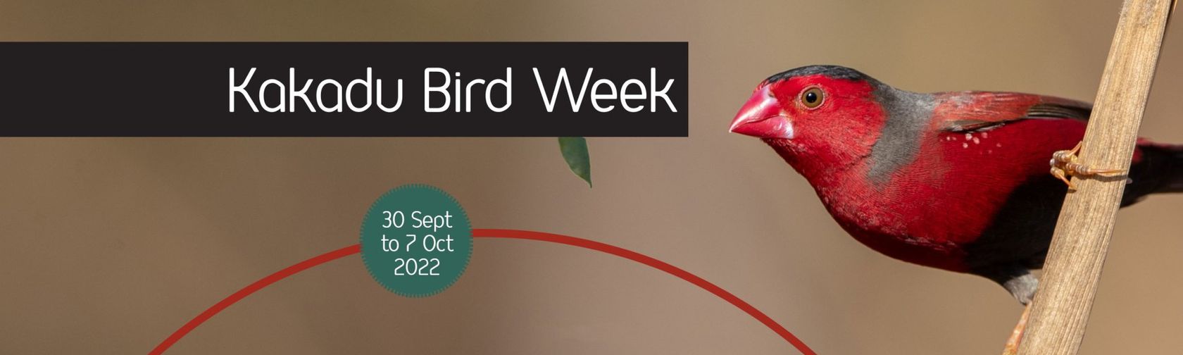 Kakadu bird week 2022